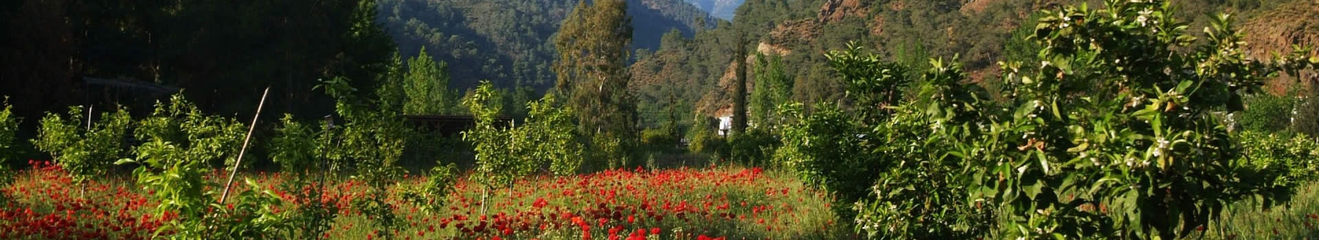Pastoral Vadi — Fethiye